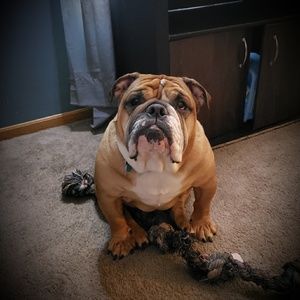 Meet your Posher, Roxanne